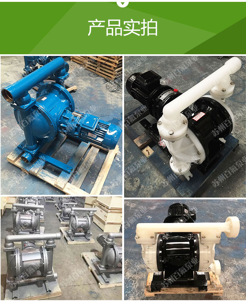 DBY型_電動隔（gé）膜（mó）泵(圖6)