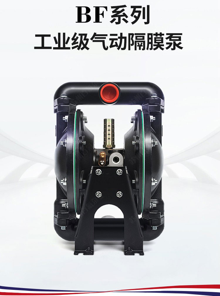 BF型大流量氣動隔膜（mó）泵(圖1)