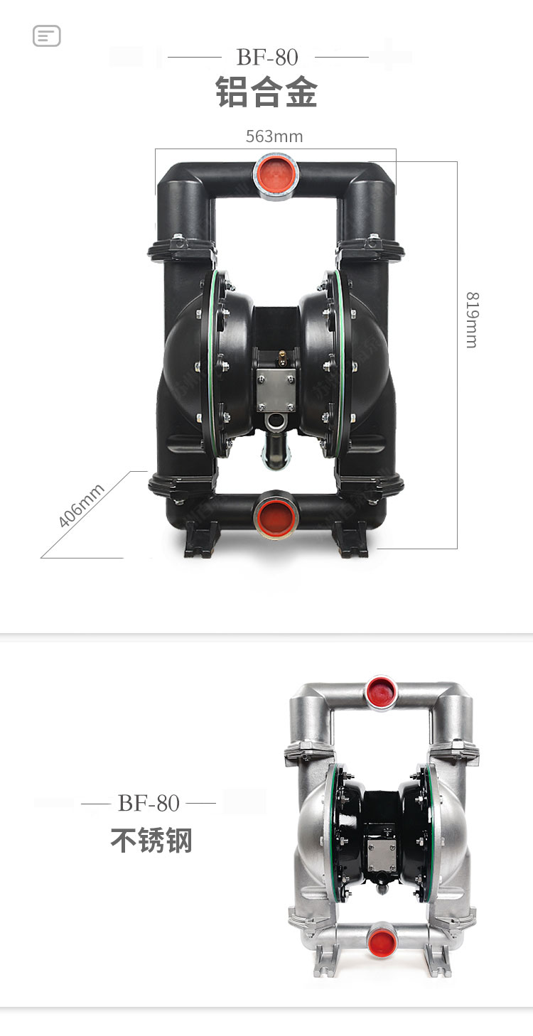 BF型大流量氣（qì）動隔膜泵(圖（tú）9)