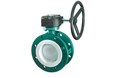 D371F46型襯（chèn）氟蝶閥